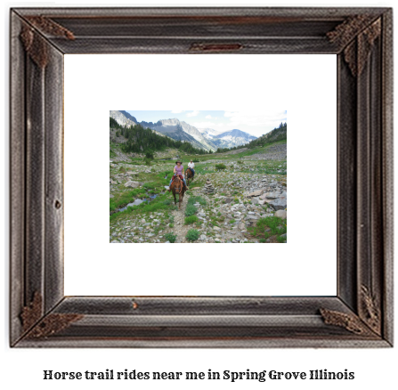 horse trail rides near me in Spring Grove, Illinois